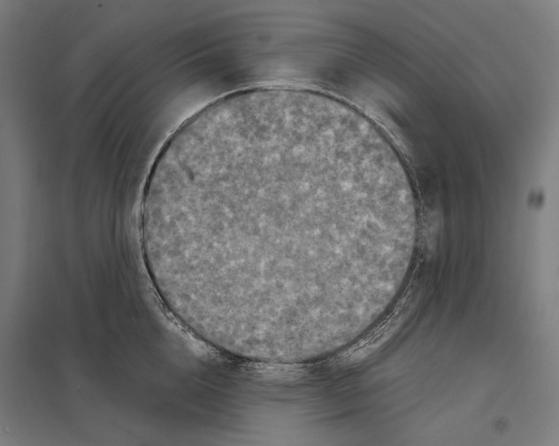 X0000097600856200803280949