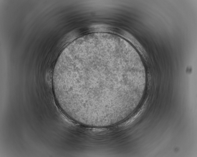 X0000097600857200803280949