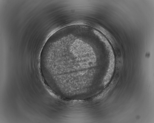 X0000097600858200803280949