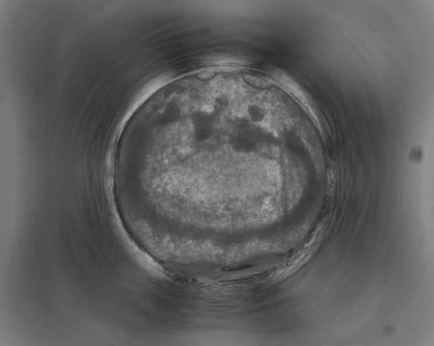 X0000097600859200803280949