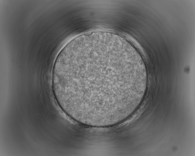 X0000097600860200803280949