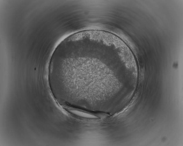 X0000097600862200803280949