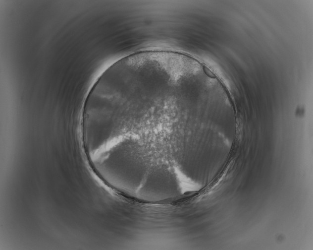 X0000097600863200803280949