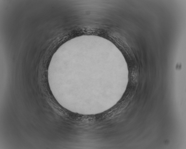 X0000097600865200803280949