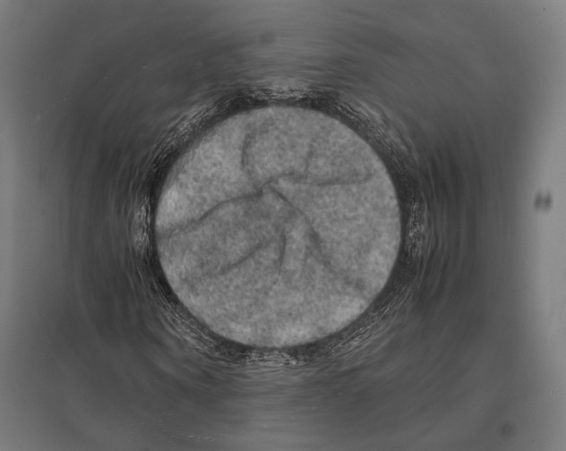 X0000097600866200803280949