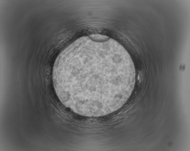 X0000097600867200803280949