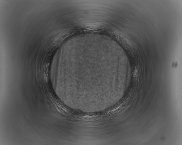 X0000097600868200803280949