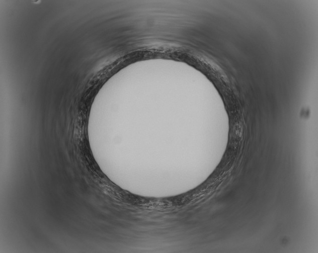 X0000097600869200803280949