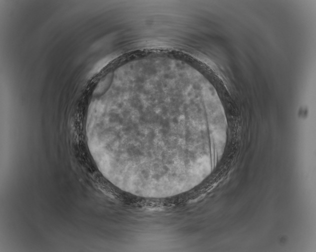 X0000097600871200803280949