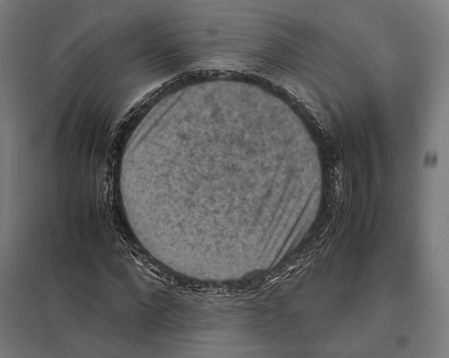 X0000097600872200803280948