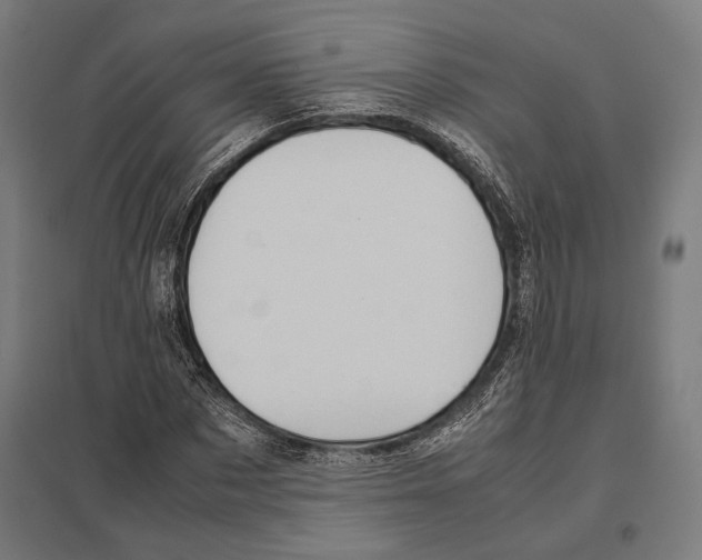 X0000097600873200803280948