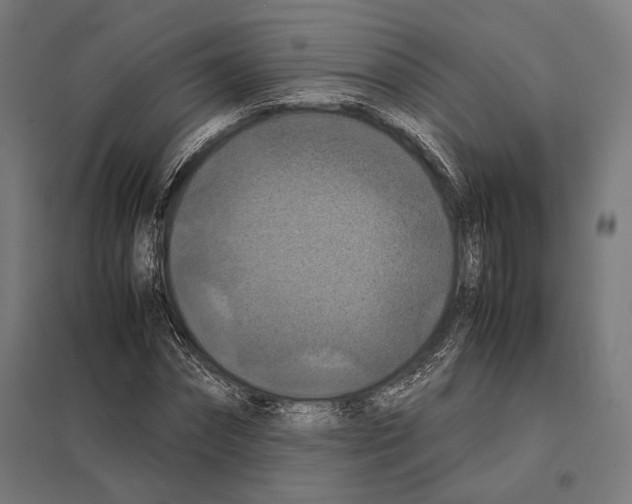 X0000097600874200803280948