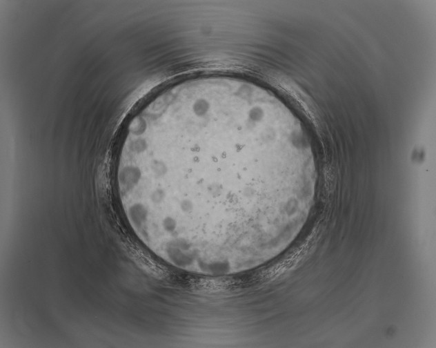 X0000097600875200803280948