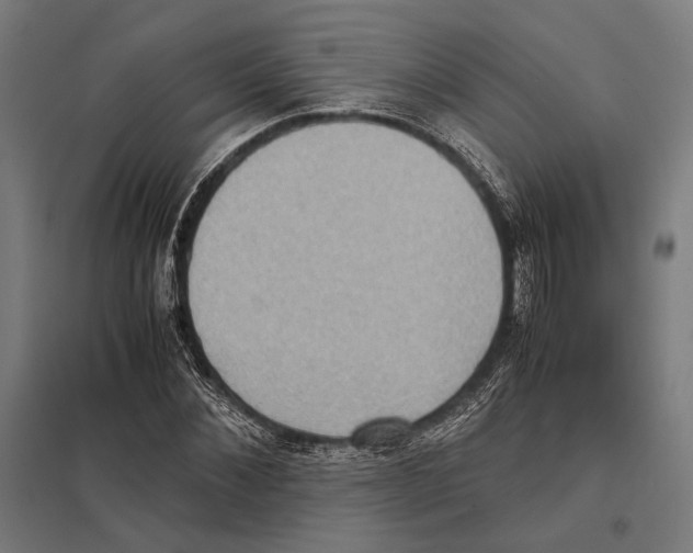 X0000097600876200803280948