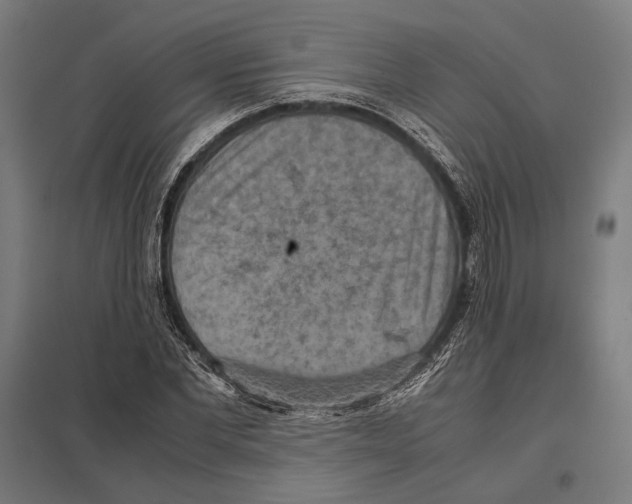 X0000097600877200803280948