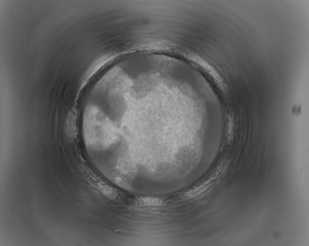 X0000097600878200803280948