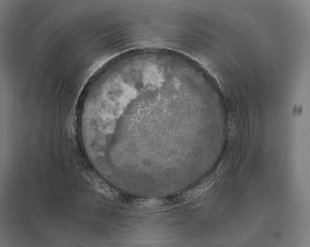 X0000097600879200803280948