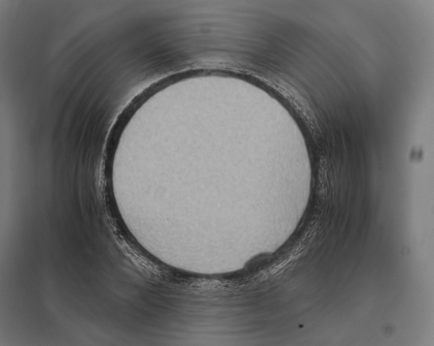 X0000097600880200803280948