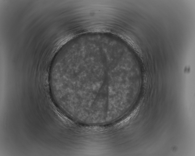 X0000097600881200803280948