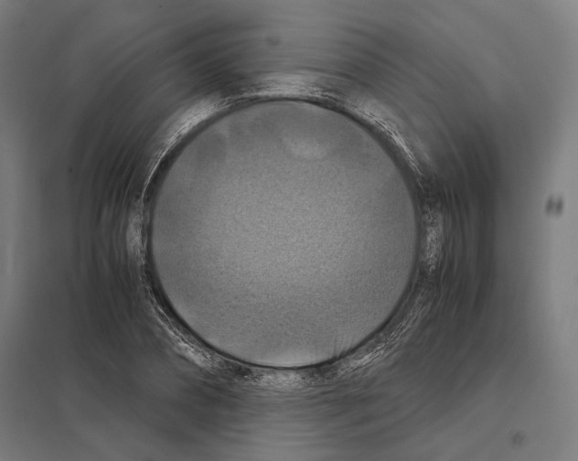 X0000097600882200803280948