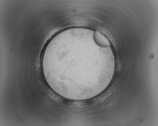 X0000097600883200803280948