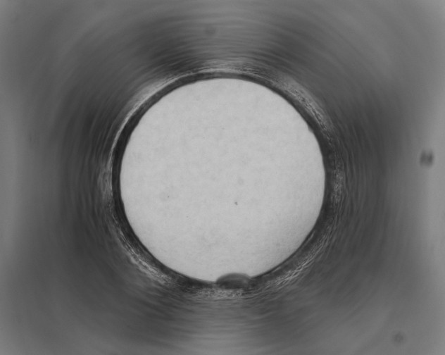 X0000097600884200803280948