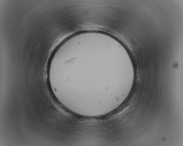 X0000097600885200803280948