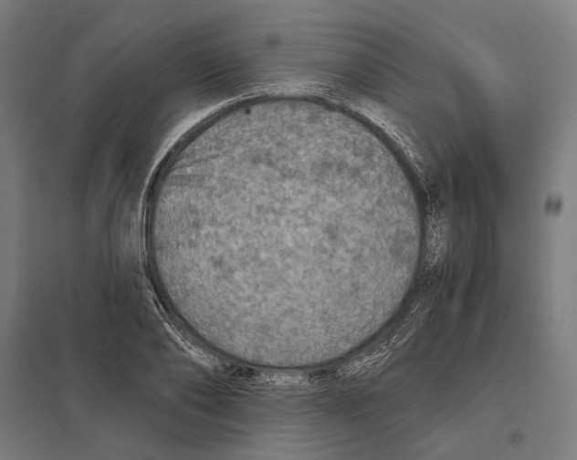 X0000097600886200803280948