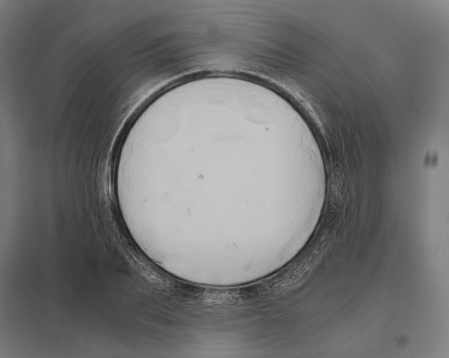 X0000097600887200803280948