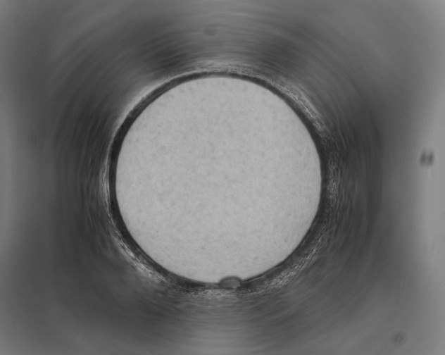 X0000097600888200803280948