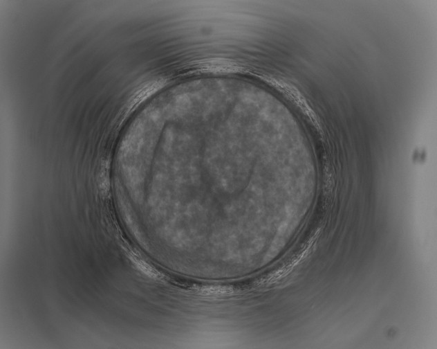 X0000097600889200803280948