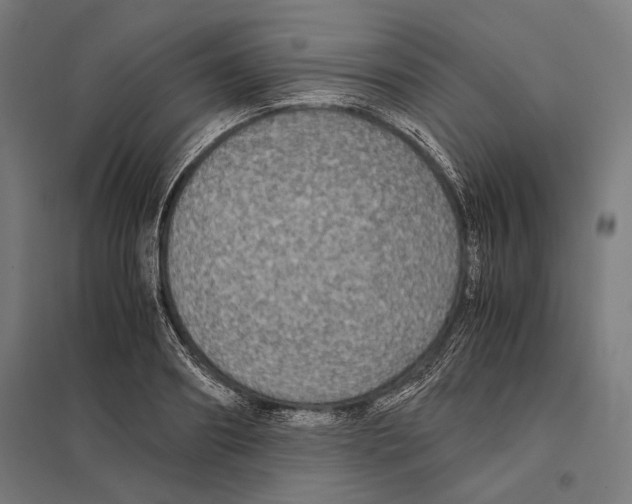 X0000097600890200803280948