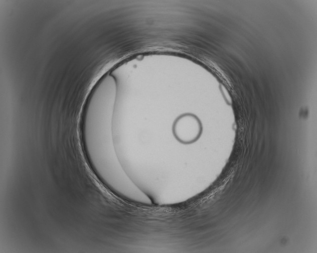 X0000097600893200803280948