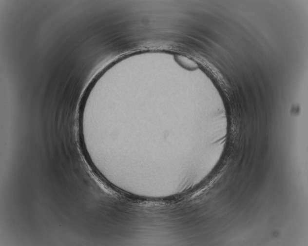 X0000097600894200803280948