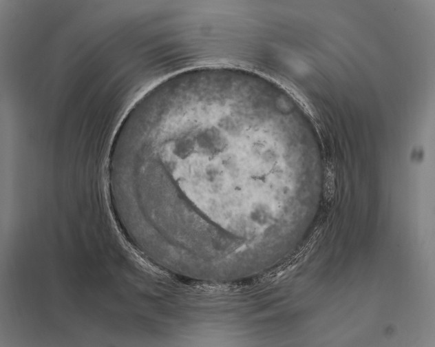 X0000097600895200803280948