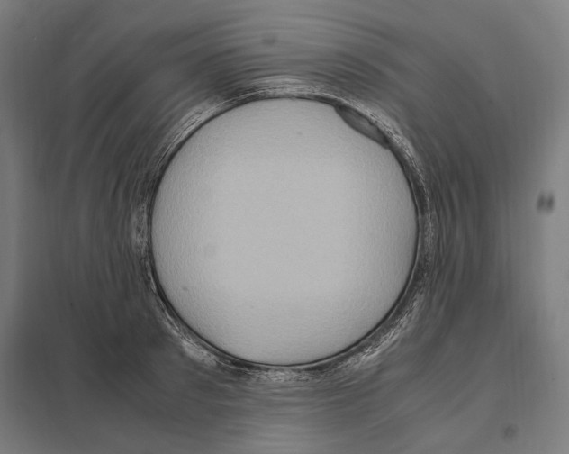 X0000097600897200803280948