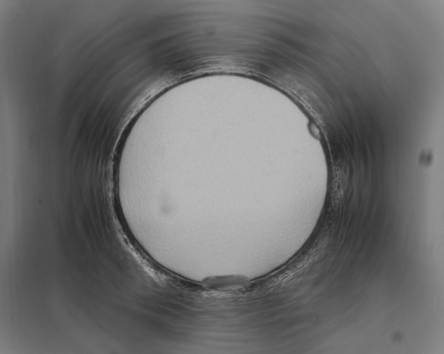 X0000097600898200803280948