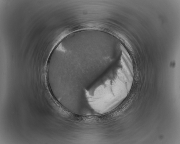 X0000097600899200803280948