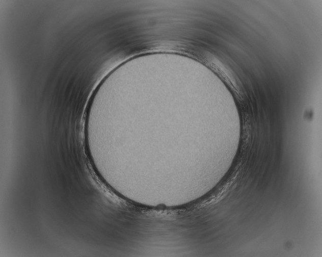 X0000097600900200803280948