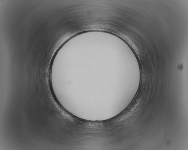 X0000097600901200803280948