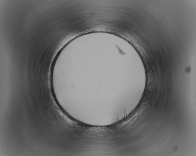 X0000097600902200803280948