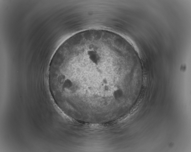 X0000097600903200803280948