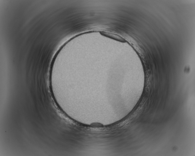 X0000097600904200803280948