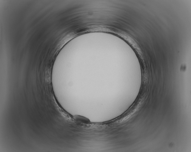 X0000097600905200803280948