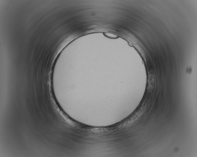 X0000097600906200803280948