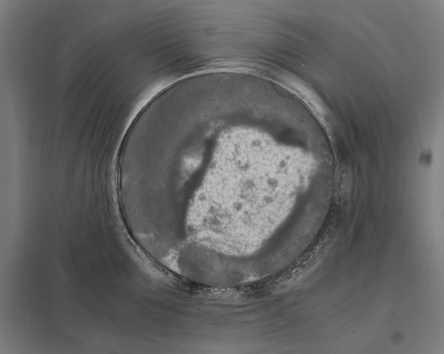 X0000097600907200803280948