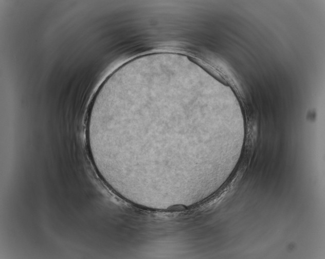 X0000097600908200803280948