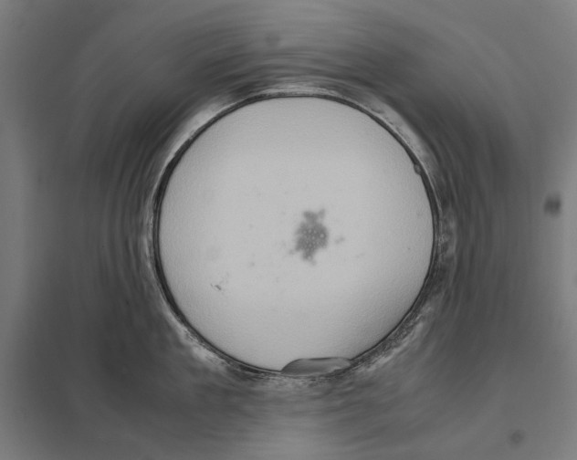 X0000097600909200803280948