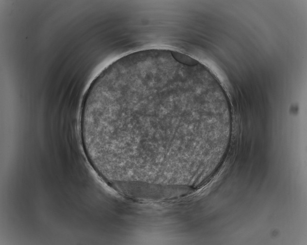 X0000097600910200803280948