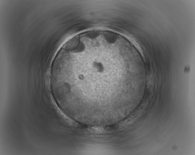 X0000097600911200803280948